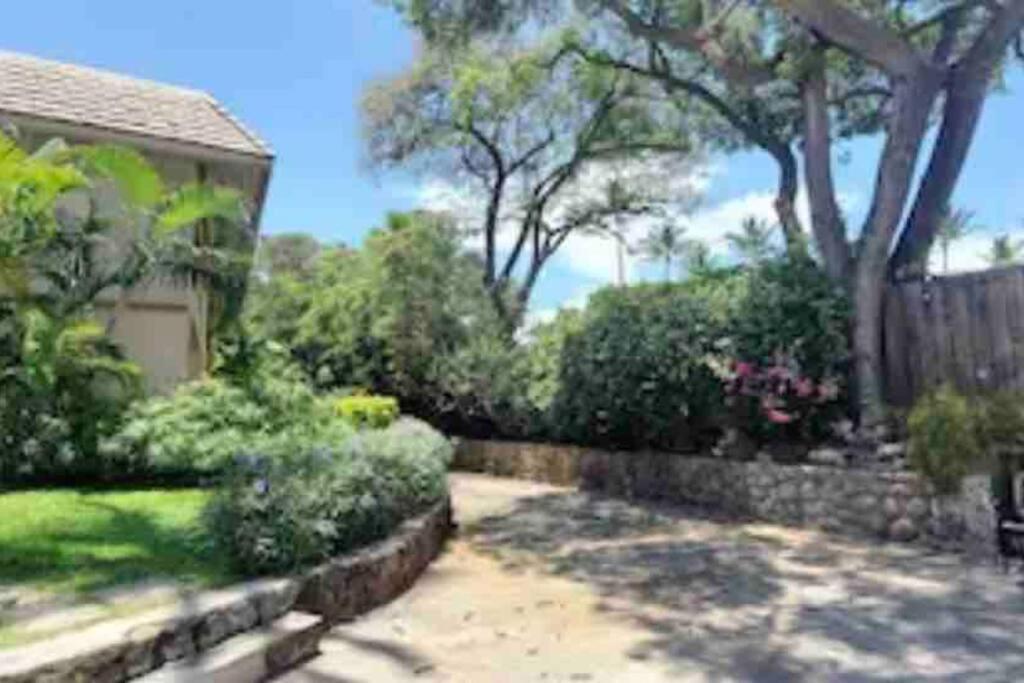 Unrivaled S Kihei Maui Location! Walk To It All! المظهر الخارجي الصورة