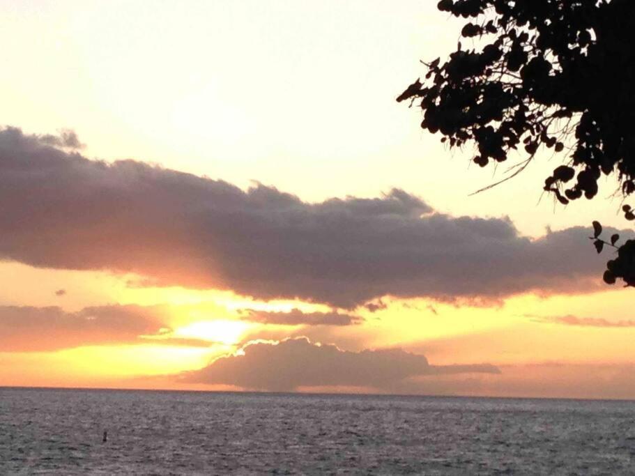 Unrivaled S Kihei Maui Location! Walk To It All! المظهر الخارجي الصورة